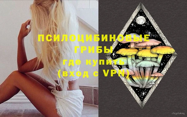 ешки Алексеевка